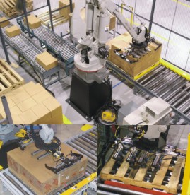2 in 2 out Robot Palletizer